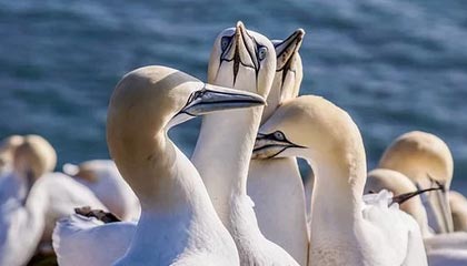 上海洪芯照明电器有限公司成立 注册资本50万人民币