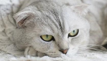 葫芦岛市南票区鑫盛源新材料制品厂（个人独资）成立 注册资本50万人民币