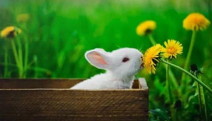 阳春市盛源再生资源有限公司成立 注册资本3万人民币