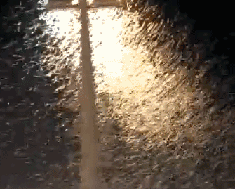 已出现！关窗！关窗！关窗！