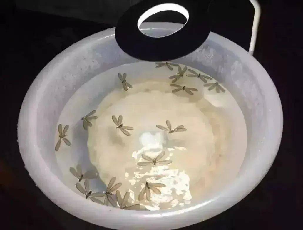 已出现！关窗！关窗！关窗！