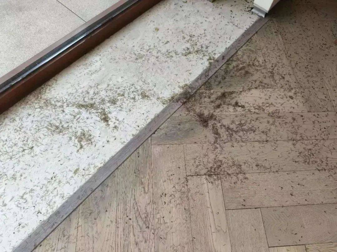 已出现！关窗！关窗！关窗！