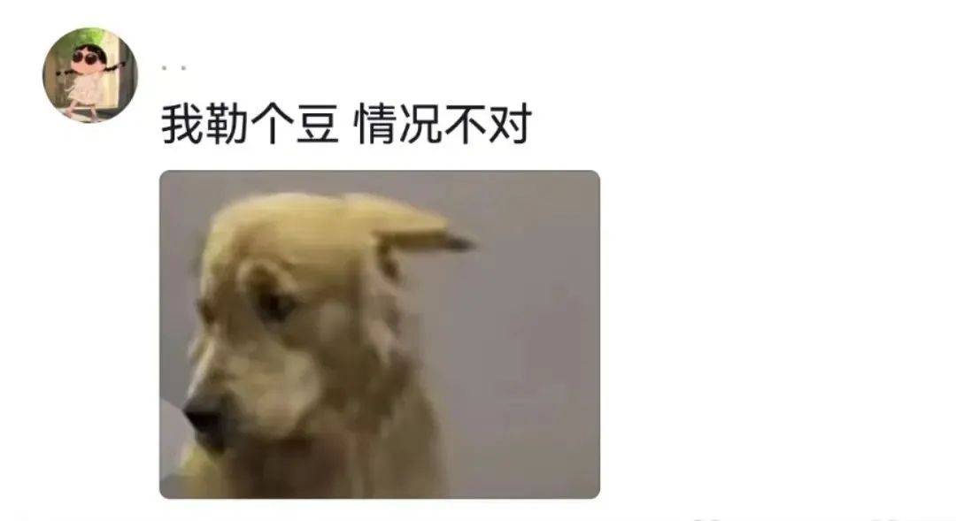 主人喝多了直接吐在狗子床上了,惊得狗子耳朵都要甩掉了,把主人硬拽好几米...狗子:我咧个豆,你自己没床吗??