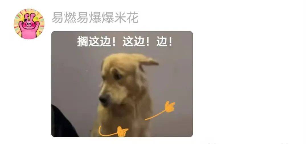 主人喝多了直接吐在狗子床上了,惊得狗子耳朵都要甩掉了,把主人硬拽好几米...狗子:我咧个豆,你自己没床吗??