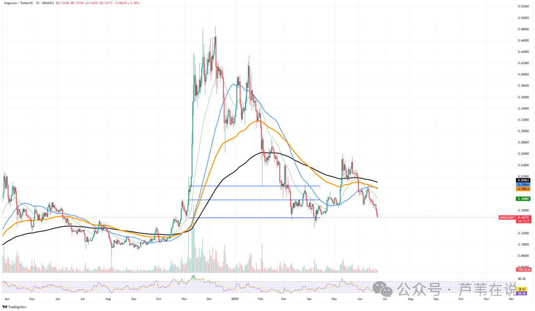 【最后机会】三大MEME币集体暴雷!DOGE、SHIB、XRP谁先归零?持仓者速看!