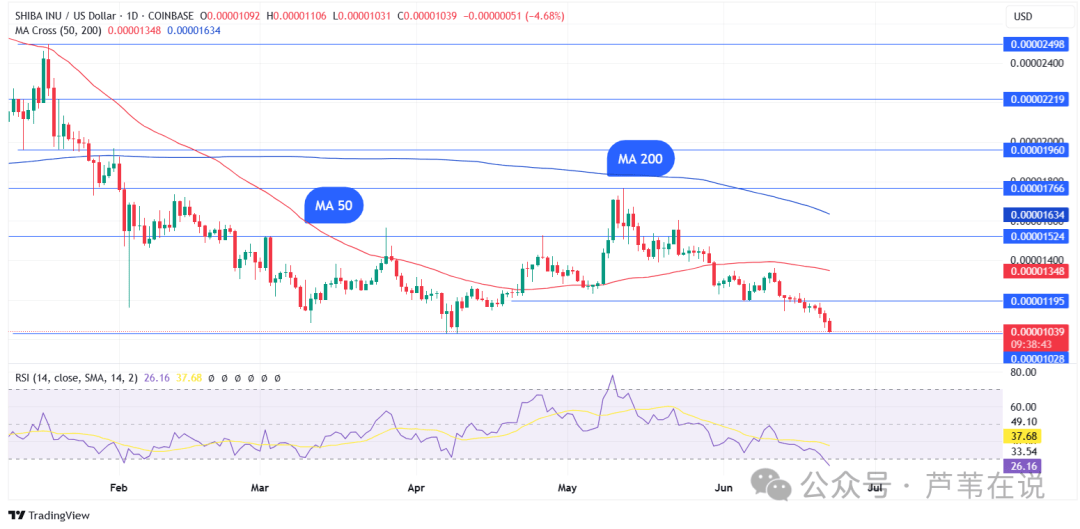【最后机会】三大MEME币集体暴雷!DOGE、SHIB、XRP谁先归零?持仓者速看!