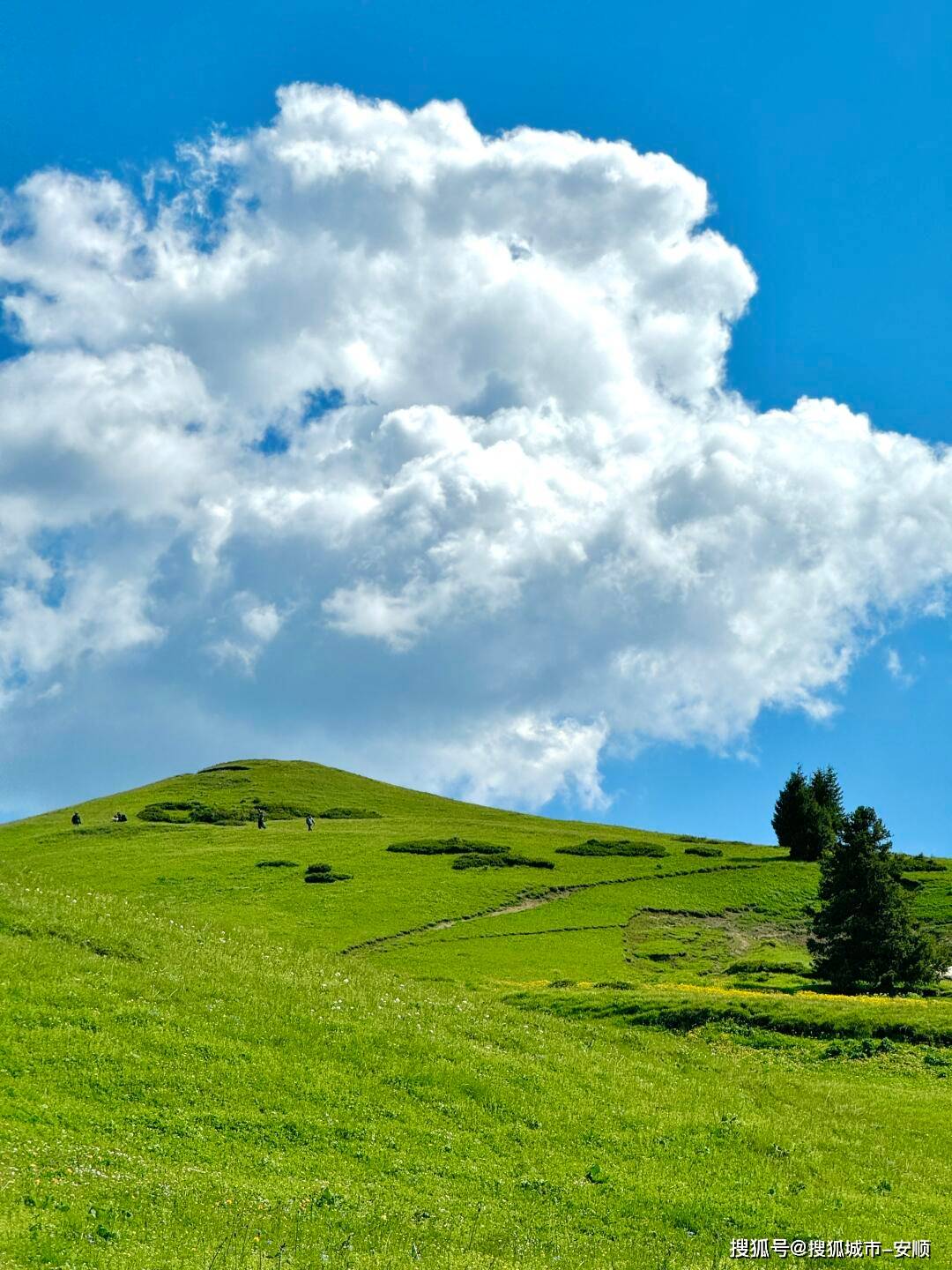 暑假带全家玩新疆｜玩10天9晚怎么玩？3K+攻略逛「安集海・可可托海・五彩滩」