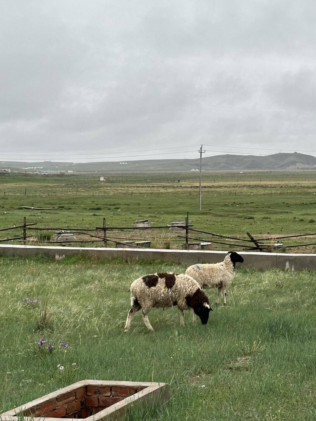 内蒙5天4晚跟团游怎么安玩？看完这篇内蒙旅游攻略全明白，少花冤枉钱，玩得更尽兴！