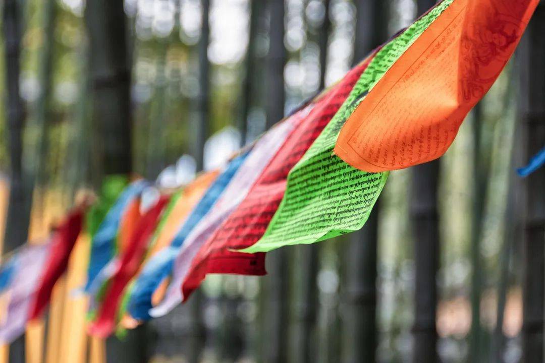 安遇情感:婚姻出现第三者,还能挽救吗?