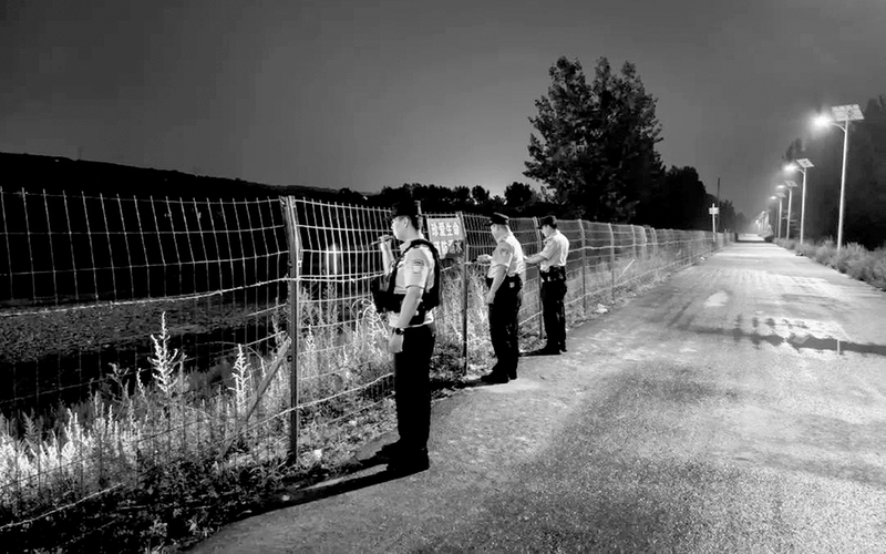 烈日下的忠诚守护