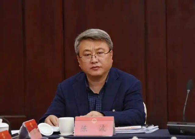 受贿数额特别巨大、滥用职权致国家利益遭重大损失，陈波被公诉