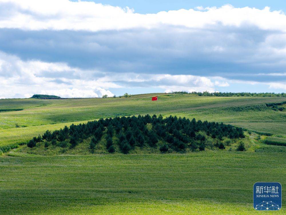 新华全媒+｜孙福贵：“红军岗”上东北抗联烈士英魂的守望者