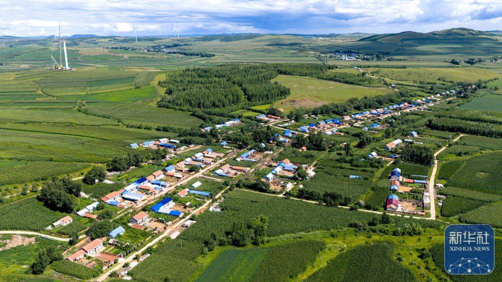 新华全媒+｜孙福贵：“红军岗”上东北抗联烈士英魂的守望者