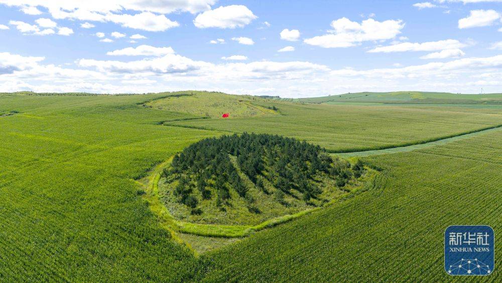 新华全媒+｜孙福贵：“红军岗”上东北抗联烈士英魂的守望者