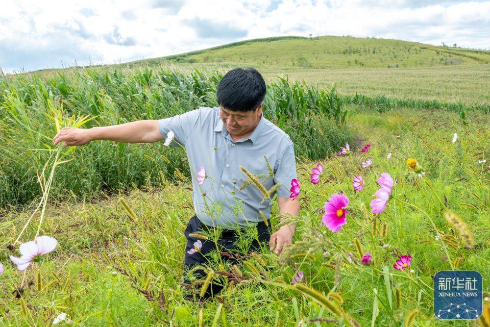 新华全媒+｜孙福贵：“红军岗”上东北抗联烈士英魂的守望者
