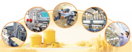 粮仓里的新科技（经济聚焦）