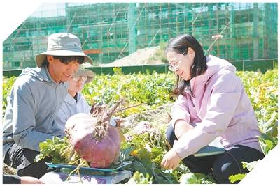 雪域高原 创新热土（科技视点）