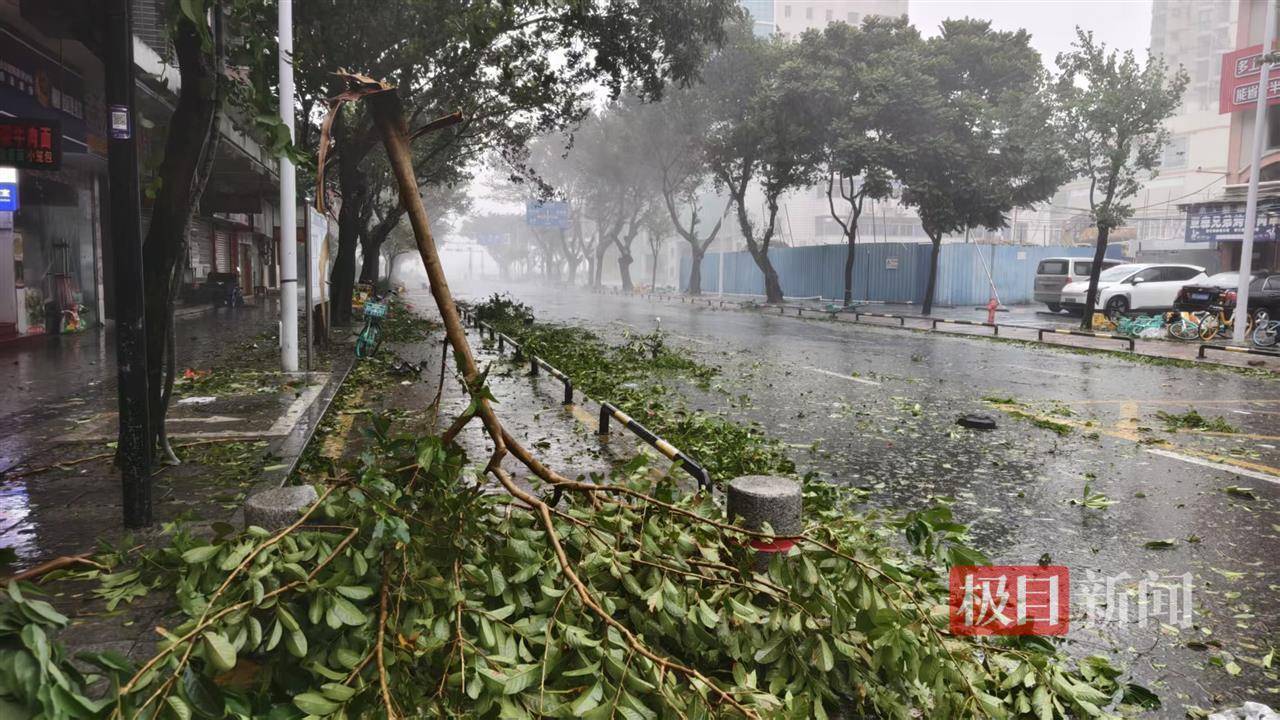 台风桦加沙袭击珠海：记者眼镜被大风吹跑，街边树枝断落，单车成排倒地