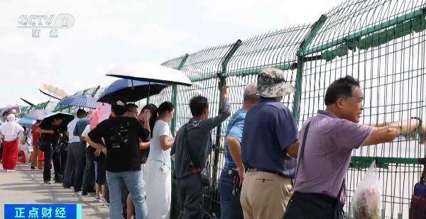 有机会看到“双潮叠加”！今年钱塘观潮不用等到八月十八