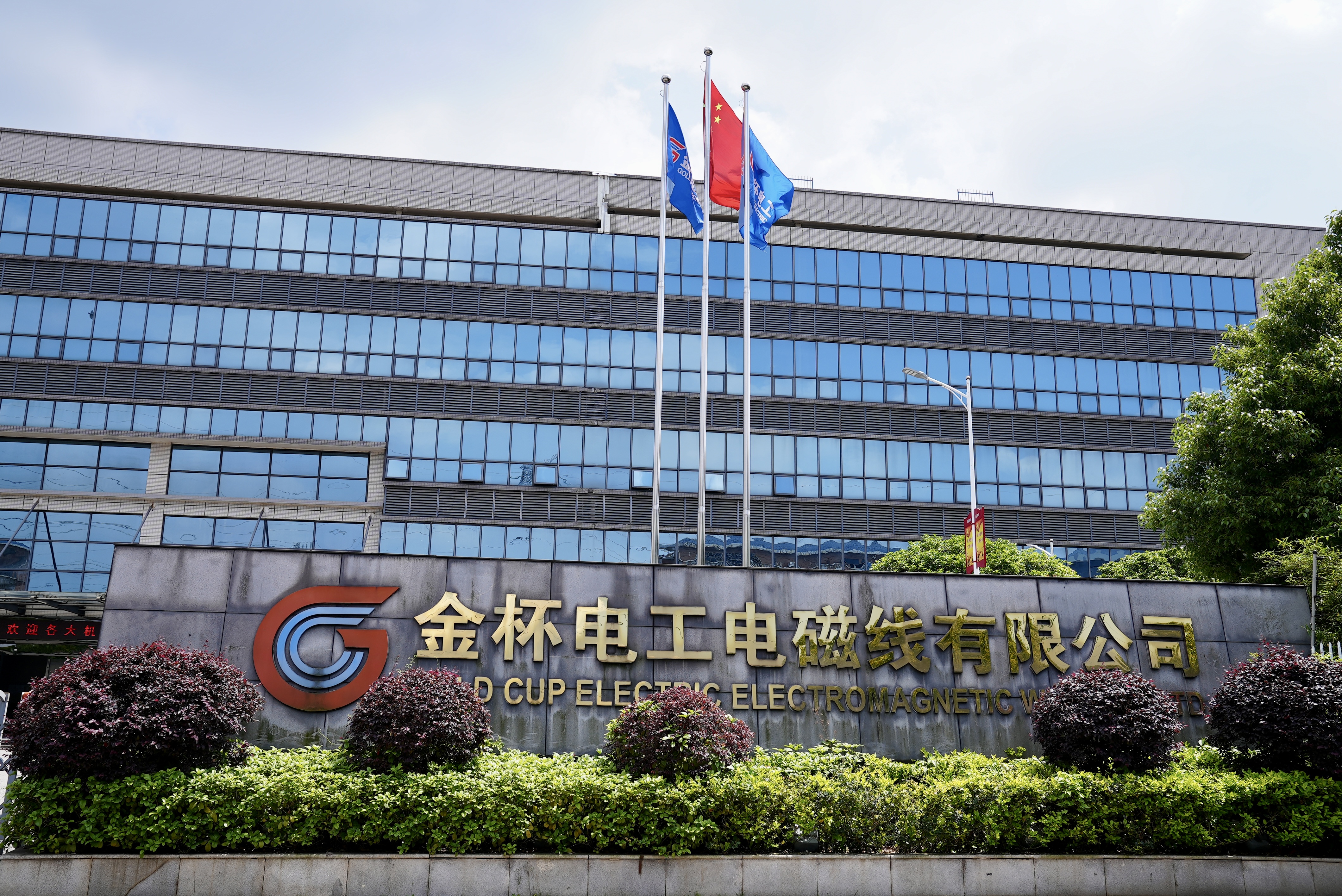 金杯电工股票(金杯电工股票今天还能持有吗)