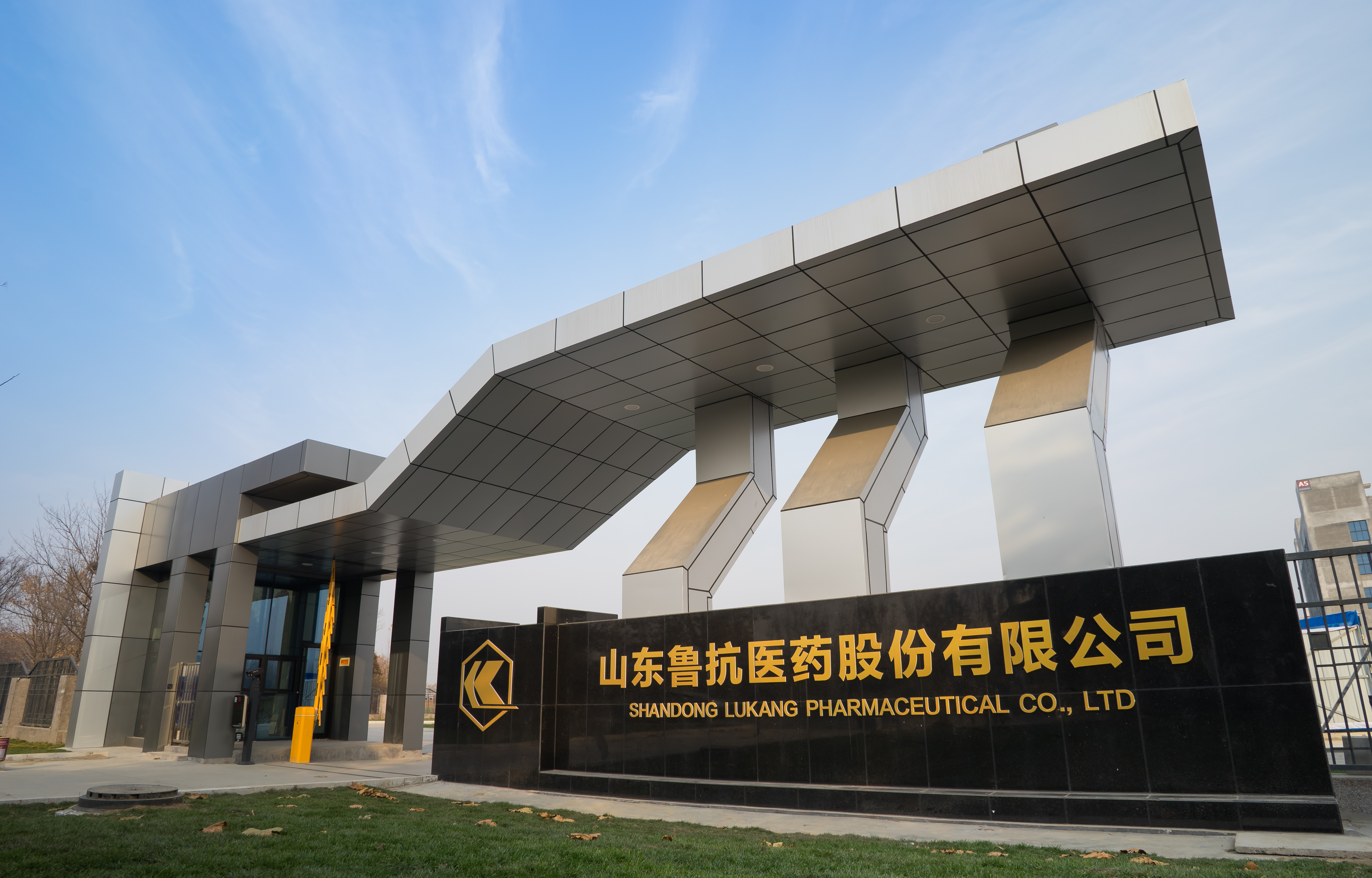 鲁抗医药股票(鲁抗医药股票值得长期投资吗)