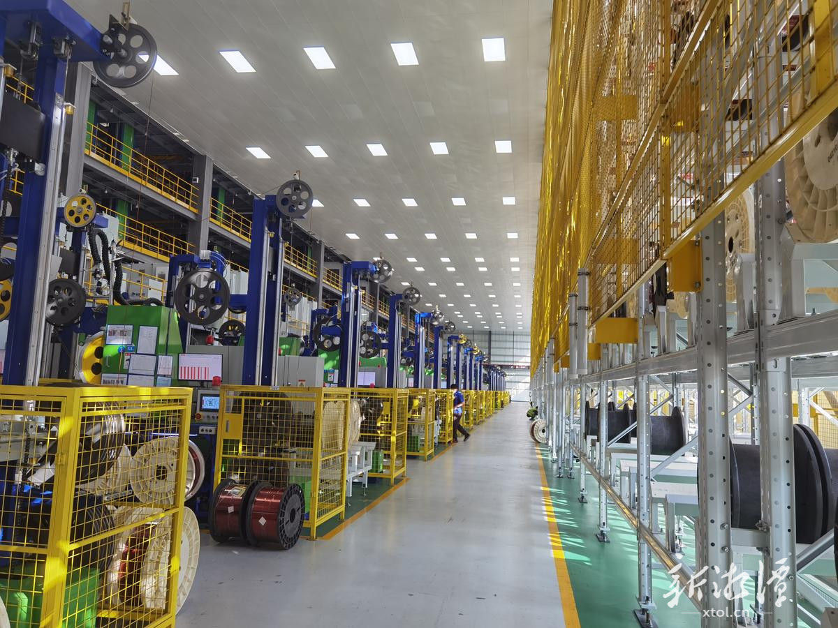 金杯电工股票(金杯电工股票股吧最新消息)