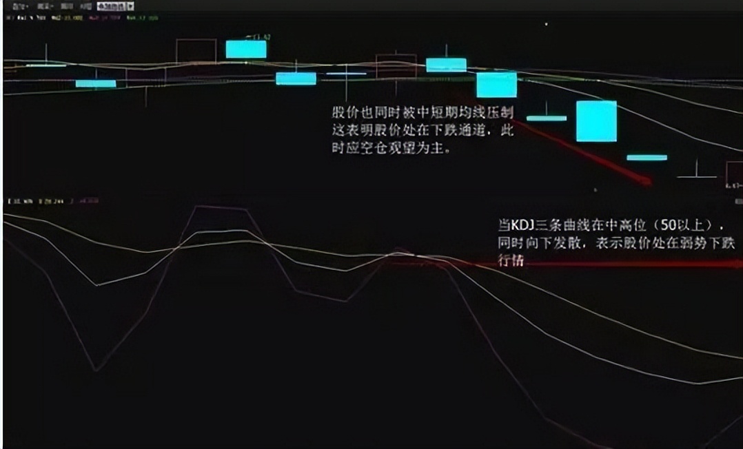 海豚股票(海豚财富电脑版下载安装)