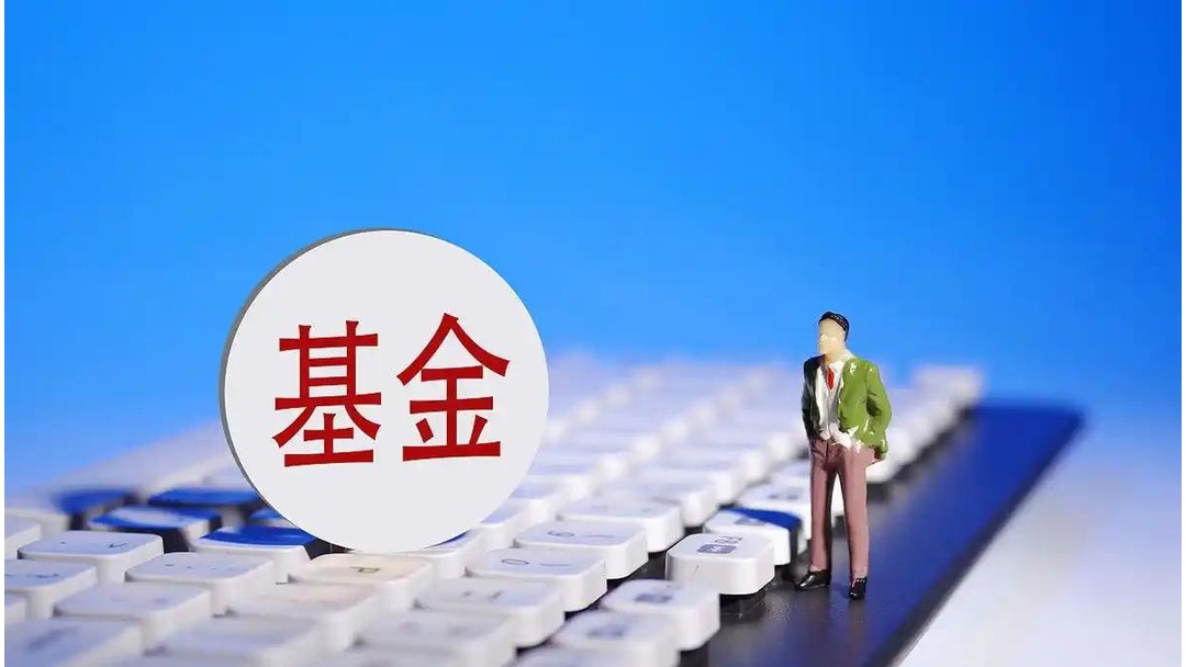 新基金(新基金认购有什么好处)