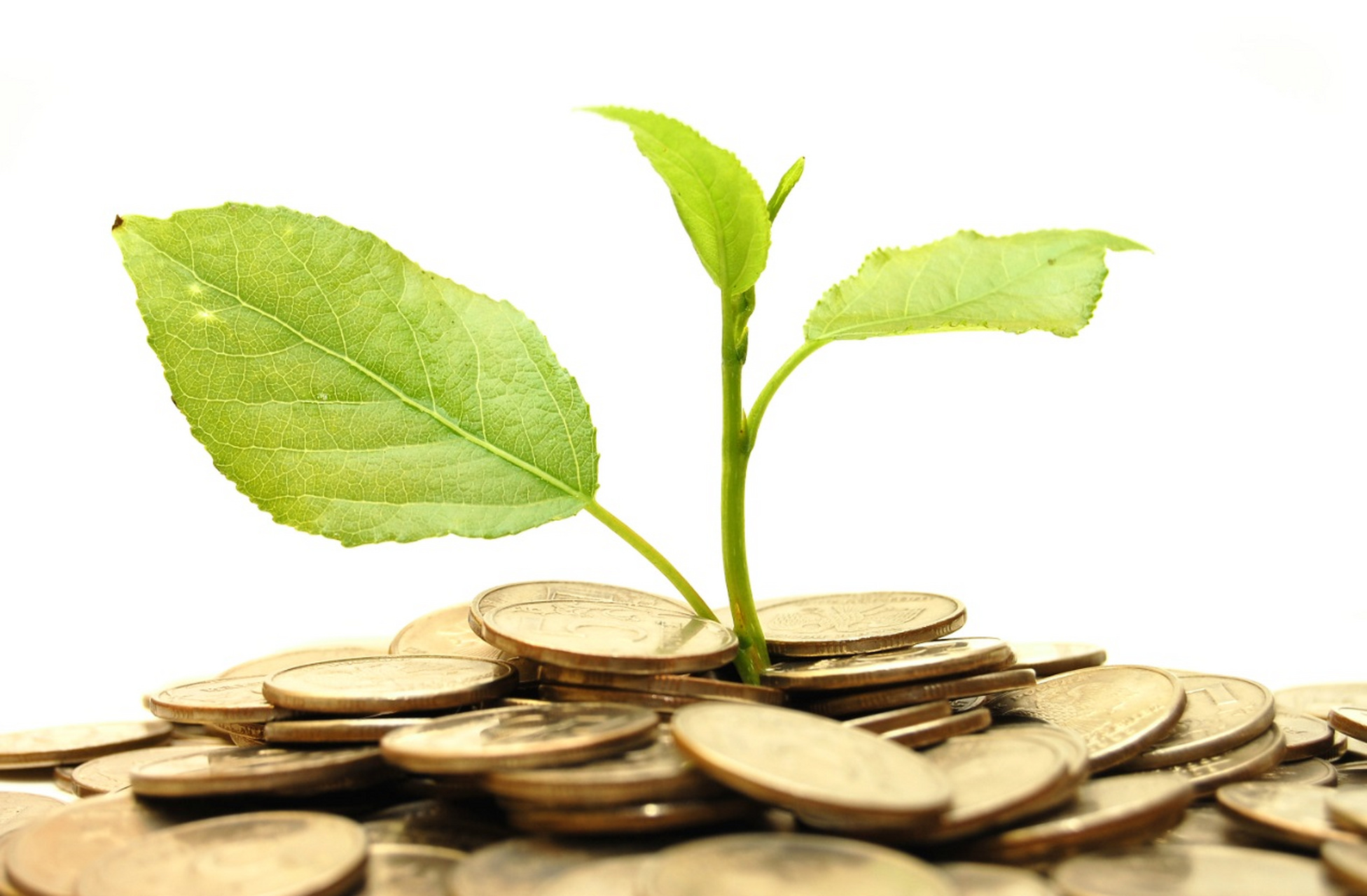 私募基金(私募基金从业资格证) 私募基金(私募基金从业资格证)